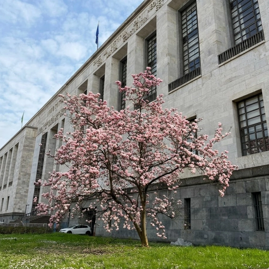 Tribunale di Milano